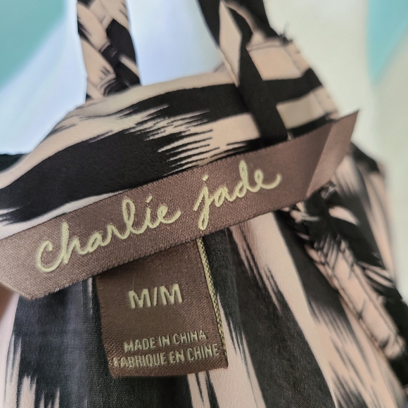 EUC Charlie and Jade Dress - Picture 3 of 4